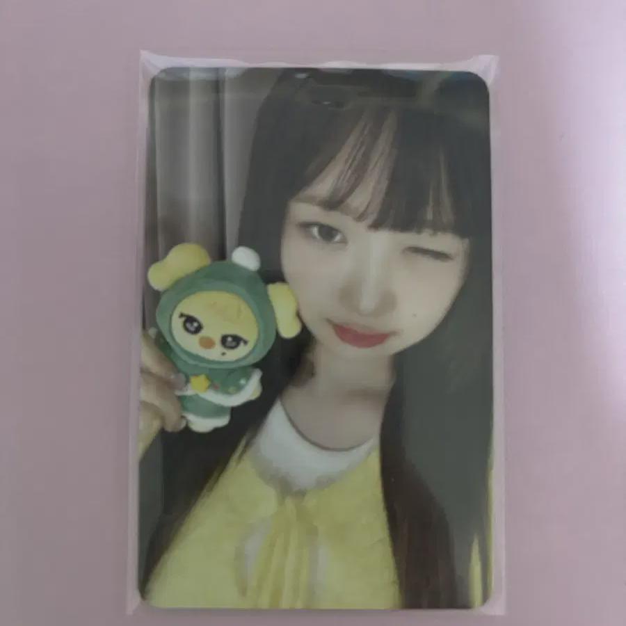 Айв Рейпока Продажи